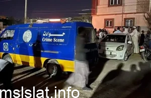 فيديو.. تفاصيل مقتل اسرة في بري