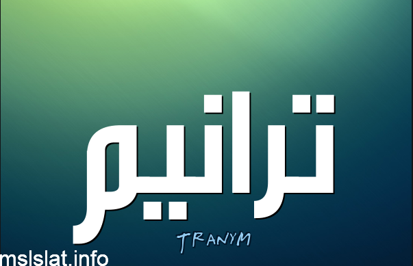 من هو عبد الرحيم محمد حسين ويكيبيديا