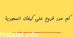 كم عدد فروع على كيفك في السعودية