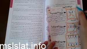 مقارنه بين الخلايا النباتيه والخلايا الحيوانيه