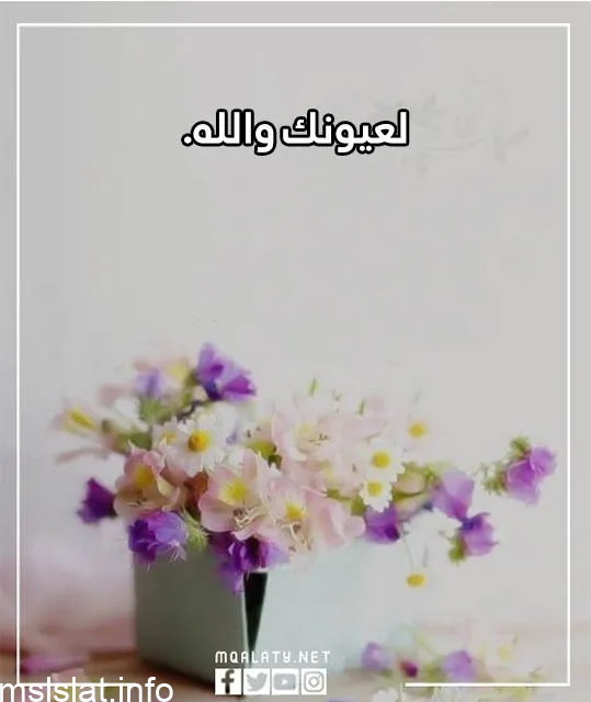 اذا احد قال لبيه وش ارد ، الرد على كلمة لبيه