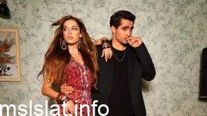 كم عدد حلقات مسلسل فريد