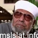 سبب الهجوم علي الشيخ الشعراوي