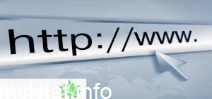 يتضمن عنوان url للموقع الحكومي على