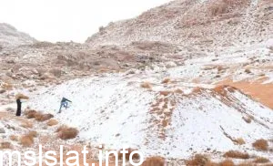 هل نزول الثلج في السعودية من علامات الساعة