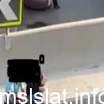 فيديو البنت اللي قالب الفيس فوق الكوبري