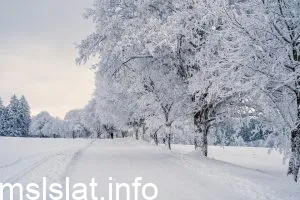 هل يوجد ثلوج في الاردن 2023