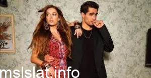عدد حلقات مسلسل فريد التركي قصة عشق