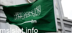 صدر النظام الأساسي للحكم عام