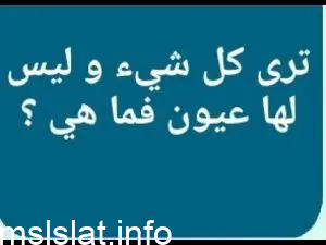 ما هي التي ترى كل شيء وليس لها عيون