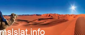 العقيدي وش يرجع