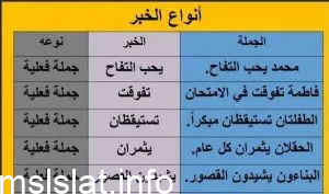 أمثلة متنوعة على خبر جملة اسمية