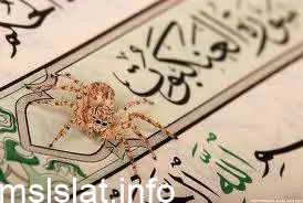 سبب تسمية سورة العنكبوت بهذا الإسم لذكر