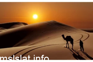 العريني وش يرجعون