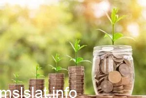 ما هو الهدف من الوعي المالي؟
