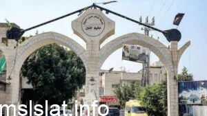 معلومات عن مخيم جنين