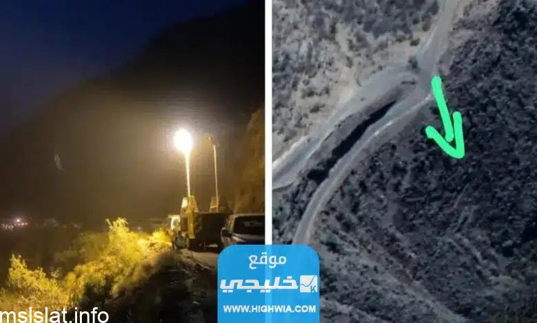 من هي ريما مناع.. أهم معلومات عن حياتها الشخصية