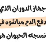 جهاز الدوران الذي يدفع الدم مباشره في انسجه الحيوان هو