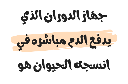 جهاز الدوران الذي يدفع الدم مباشره في انسجه الحيوان هو