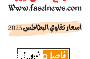 أسعار تقاوي البطاطس 2023