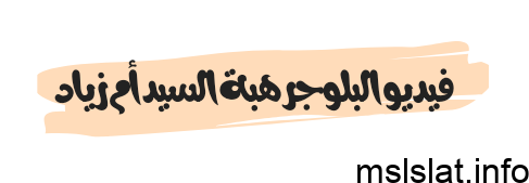 فيديو البلوجر هبة السيد أم زياد اليوتيوبر