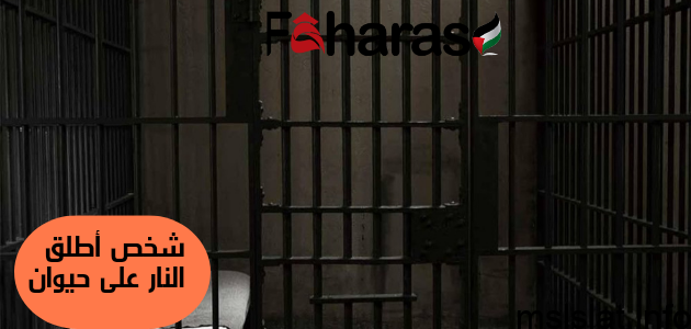 سبب القبض على شخص اطلق النار على حيوان