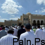 من هي داريا كوتسارينكو وسبب وفاتها