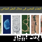التقدّم المحرز في مجال التغيّر المناخي يوم الأرض 2024 في احتفال جوجل