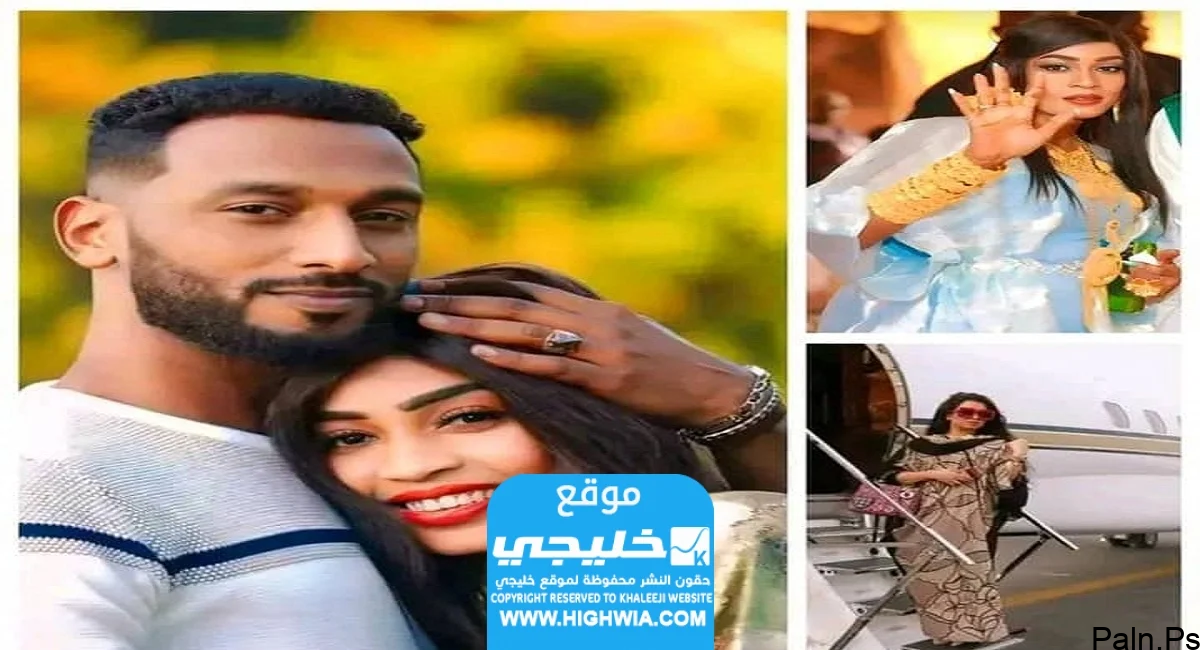 من هي مروة الدولية؟ إليك أهم المعلومات عن الفنانة السودانية المشهورة