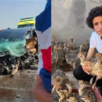 من هو يوسف مربى النعام في مصر وقصه وفاته