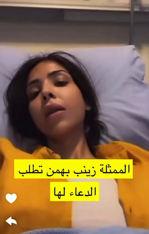 كل ما تريد معرفته عن الفنانة زينب بهمن