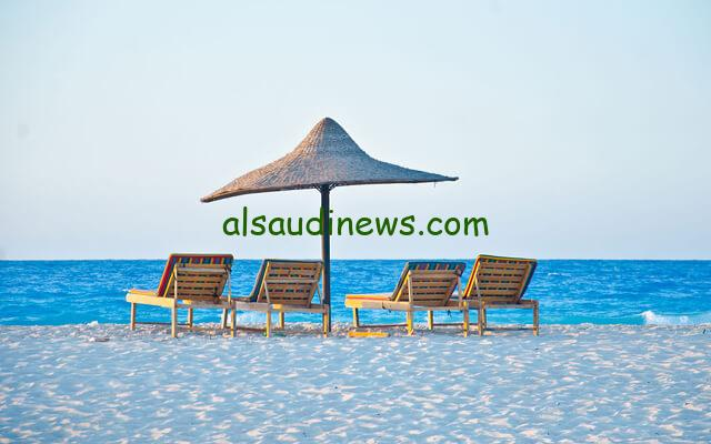 من هي الراقصة سلطانة ويكيبيديا؟