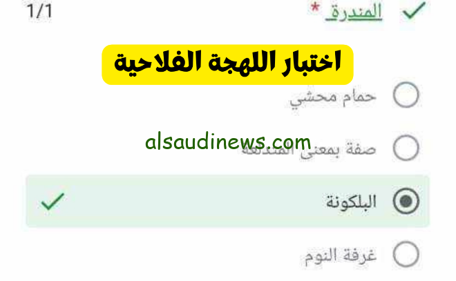 شوف انت فلاح ولا لا … اسئلة اختبار اللهجة الفلاحي 2024
