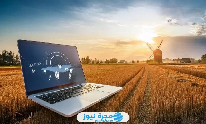 رابط اختبار اللهجة الصعيدية: هل تعرف لهجة أهل الصعيد الأصيلة