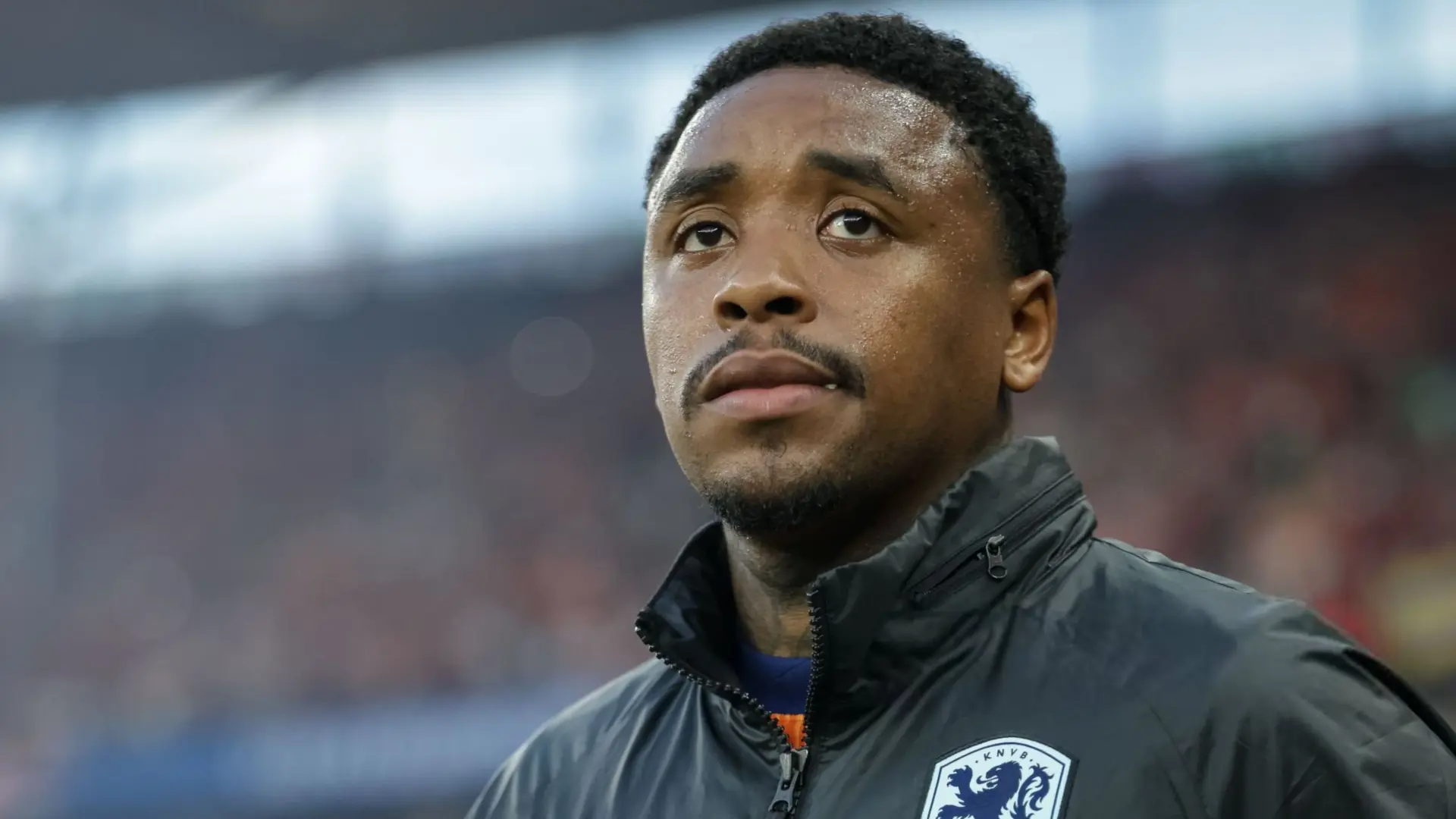 لاعب الاتحاد ستيفن بيرجوين من هو ستيفن بيرجوين لاعب الاتحاد السعودي الجديد