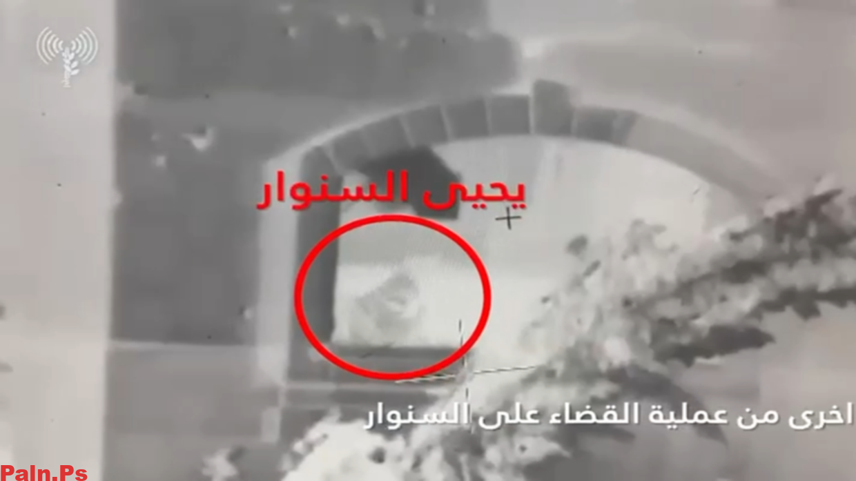 فيديو استشهاد السنوار