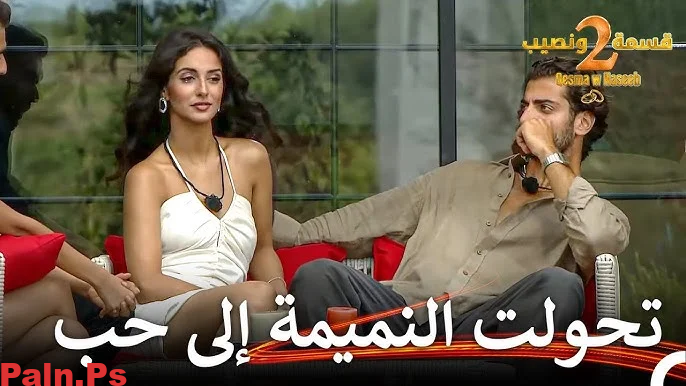 قسمه ونصيب الحلقه 31