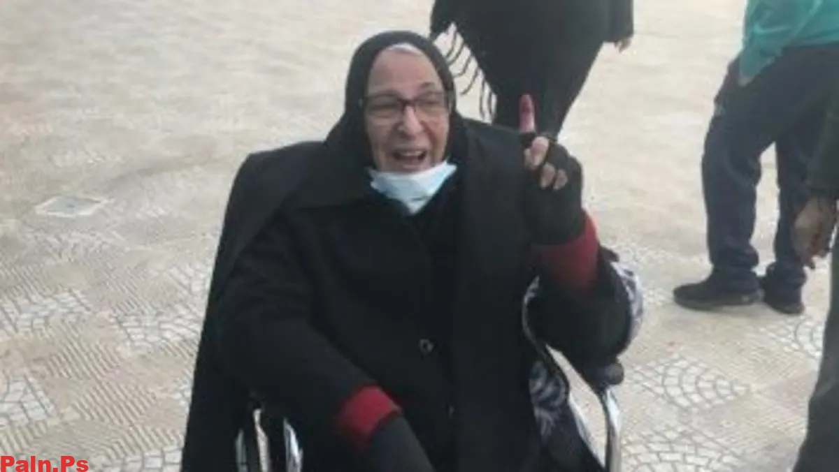 من هي الإعلامية نبيلة سنبل ويكيبيديا السيرة الذاتية