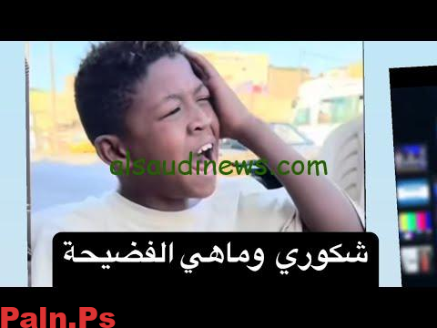 مقطع شكوري البصراوي | ويكيبيديا | السيرة الذاتية