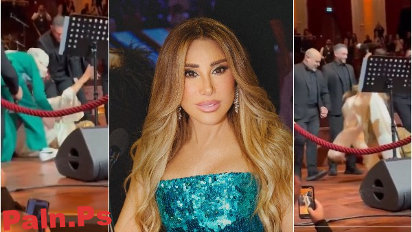 شاهد.. لحظة سقوط نجوى كرم على المسرح خلال وصلة رقص في هولندا