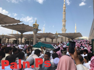 حادث معلمات صفيط