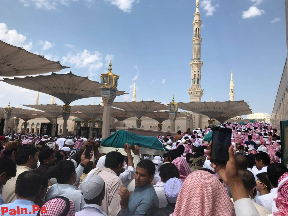 حادث معلمات صفيط