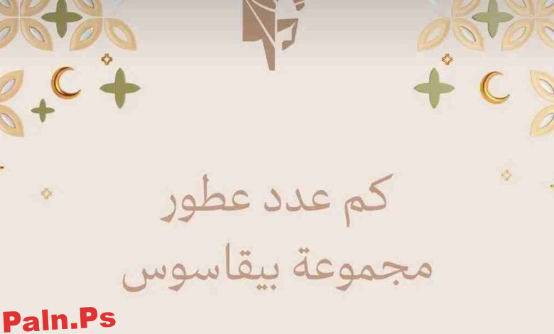 كم عدد عطور مجموعة بيقاسوس